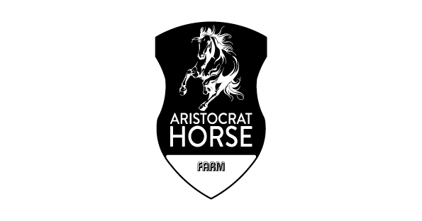 Aristocrat — Aref Medya Referans